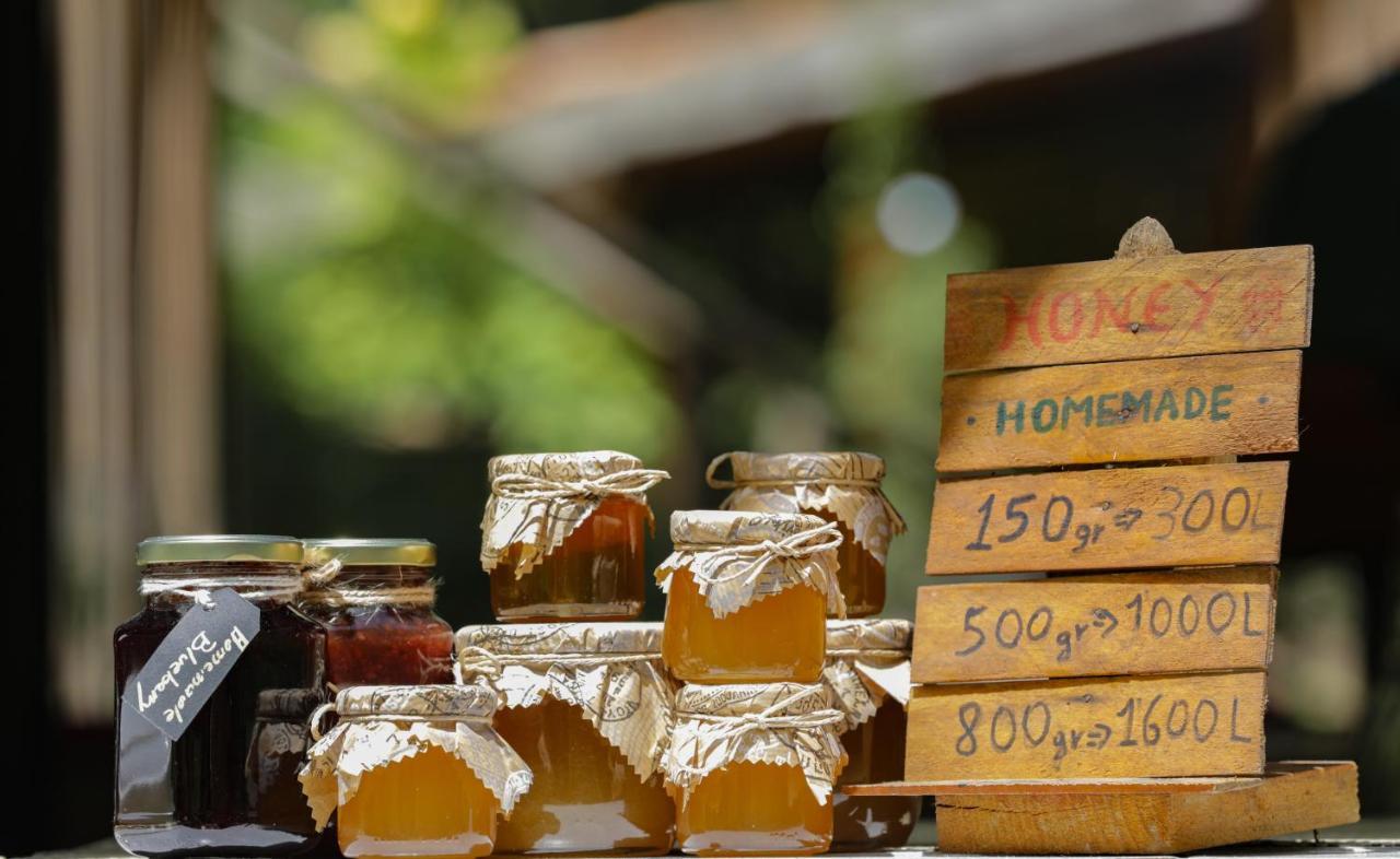 Bee Eco Pensión